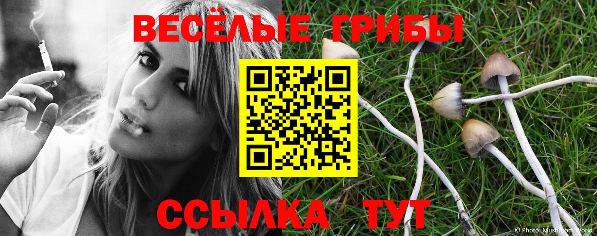 Псилоцибиновые грибы Psilocybine cubensis  Галлюциногенные грибы ЛСД  Вход с VPN  наркошоп  Бутурлиновка 